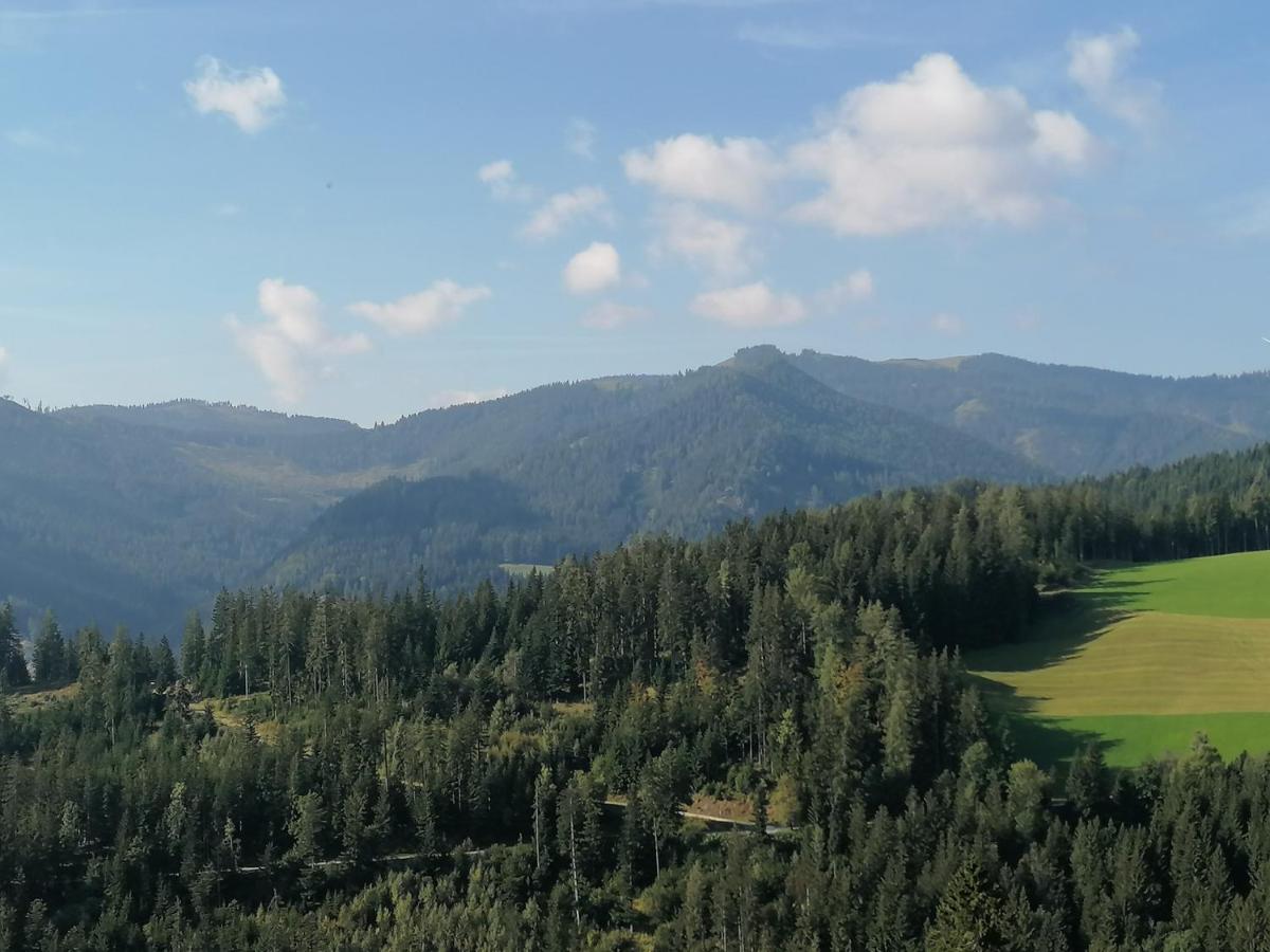 Ferienhaus Stubalpenblick Villa Salla ภายนอก รูปภาพ